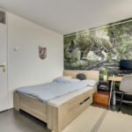 MR101598-10874-Groeneveldstraat-43,-Monster-258376440