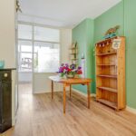 MR101735-6974-Zuiderparklaan-493,-‘s-gravenhage-235050236