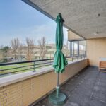 MR101772-10703-Slangekruid-89,-Monster-258390294