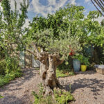 MR101779-16054-Woodrow-Wilsonlaan-1,-Rijswijk-287341743