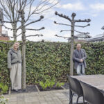 MR101788-12120-Bruinvis-15,-Naaldwijk-264987774