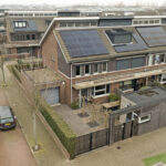 MR101788-12120-Bruinvis-15,-Naaldwijk-264987852