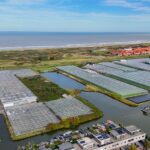 MR101868-9006-Rijnweg-36,-Monster-247252172