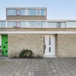 MR101881-11496-Clematis-15,-Monster-261540572