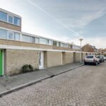 MR101881-11496-Clematis-15,-Monster-261540578