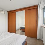 MR101881-11496-Clematis-15,-Monster-261540694