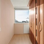 MR101881-11496-Clematis-15,-Monster-261540712