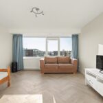 MR101881-11496-Clematis-15,-Monster-261540724