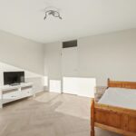 MR101881-11496-Clematis-15,-Monster-261540728