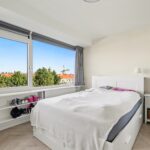 MR101881-11496-Clematis-15,-Monster-261540750