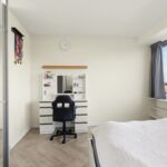 MR101881-11496-Clematis-15,-Monster-261540756