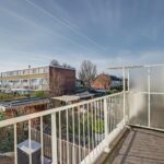 MR101881-11496-Clematis-15,-Monster-261540760