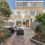 MR101881-11496-Clematis-15,-Monster-261540774