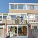 MR101881-11496-Clematis-15,-Monster-261540794