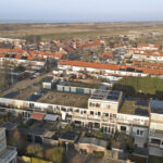 MR101881-11496-Clematis-15,-Monster-261540836