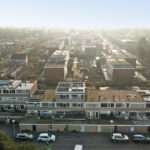 MR101881-11496-Clematis-15,-Monster-261540848