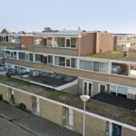 MR101881-11496-Clematis-15,-Monster-261540854