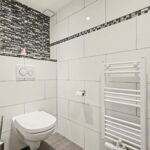 MR101881-11496-Clematis-15,-Monster-261764820