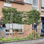 MR101901-10922-Achter-de-Bergen-15,-Honselersdijk-258349398