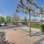 MR101955-13599-Slangekruid-50,-Monster-273667802