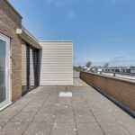 MR101955-13599-Slangekruid-50,-Monster-273668428
