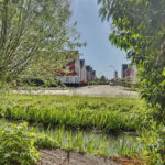 MR102027-13957-J.J.-Slauerhoffplantsoen-9,-‘s-gravenhage-275706348