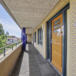 MR102044-15059-Slangekruid-101,-Monster-279552524