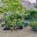 MR102149-17932-Havenstraat-12ap01,-Monster-296512349